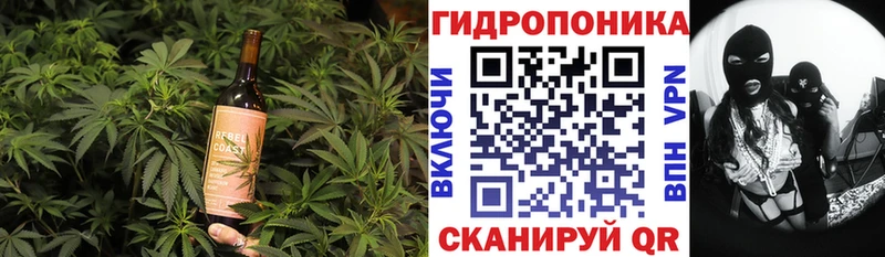 Canna-Cookies конопля  hydra маркетплейс  Калуга 