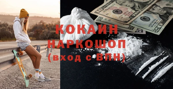 шишки Армянск