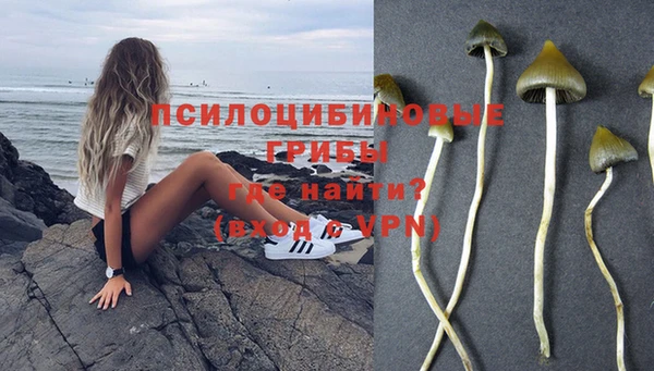 шишки Армянск